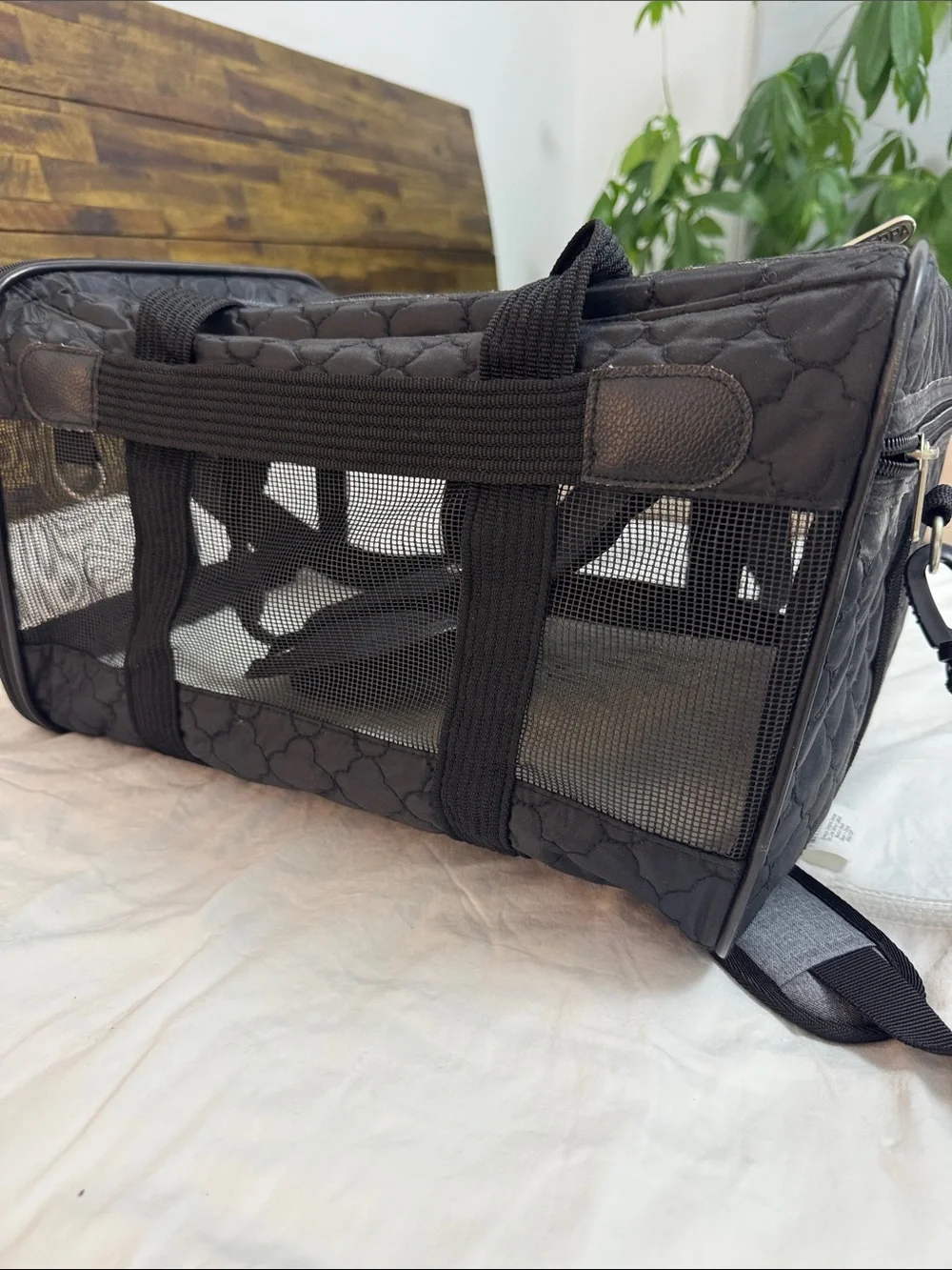 Quilted Black Mesh Pet Carrier